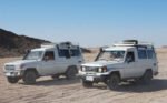 Bedawia Safari