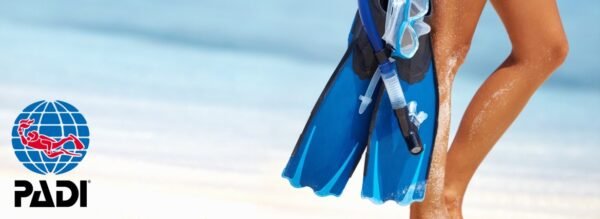 Diving Advanced - Image 5