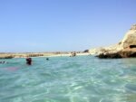 Ras Mohamed by bus - Image 4