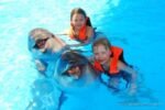 Dolphin show & Swim with dolphin - Image 2