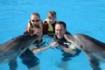 Dolphin show & Swim with dolphin - Image 3