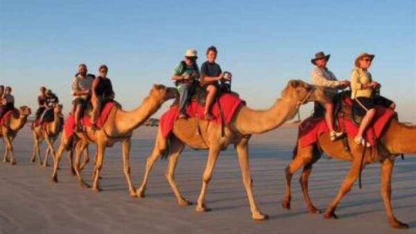 Camel Ride - Image 1