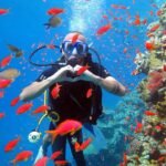 Ras Mohammed + White Island by boat