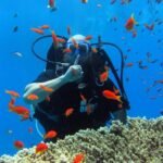 Ras Mohammed + White Island by boat - Image 19