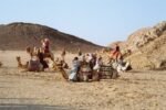 Jeep Safari - Image 2