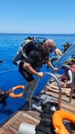 Ras Mohammed + White Island by boat - Image 20