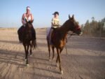 Horse Riding