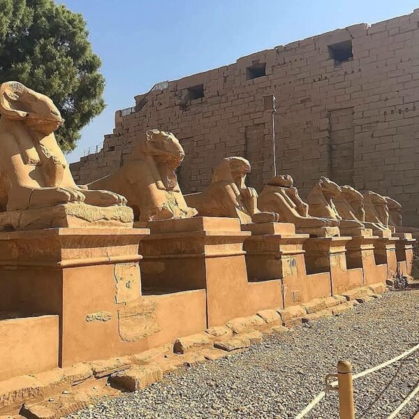 Luxor by plane - Image 6