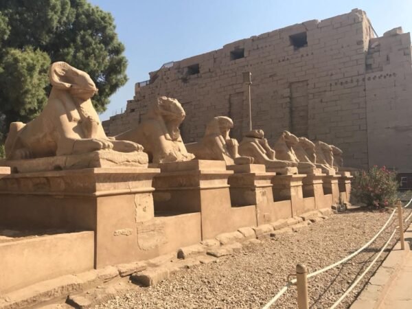 Luxor by plane - Image 10