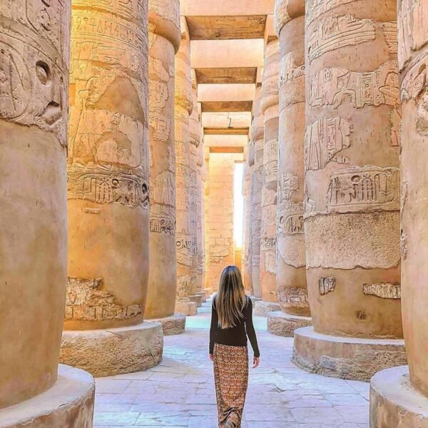 Luxor by plane - Image 16