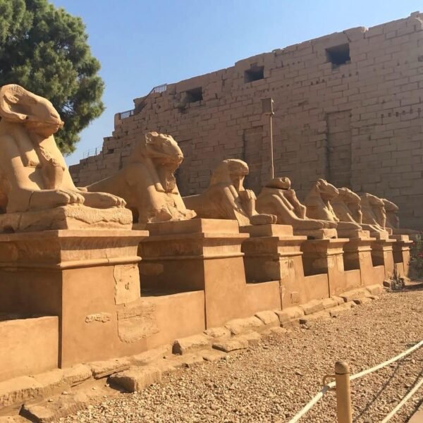 Luxor by plane - Image 18