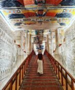 Luxor by plane - Image 22