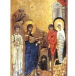 Saint catherine Monastery and Dahab - Image 9