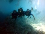 Diving Advanced - Image 11
