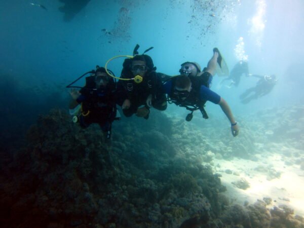 Diving Advanced - Image 11