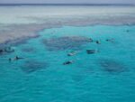 Intro Diving - Image 8
