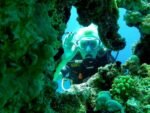 DIVING FROM THE SHORE - Image 2