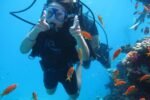 DIVING FROM THE SHORE - Image 4