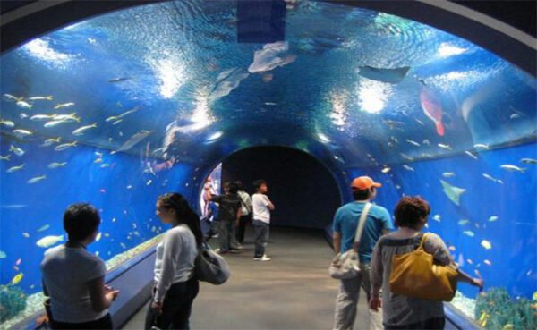 Hurghada Aquarium - Image 1