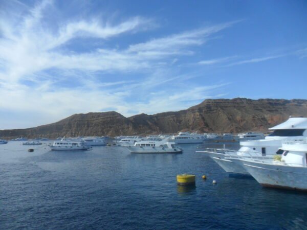 Diving Advanced - Image 14