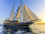 Sina Dream Yacht Ras Mohamed & White Island - Image 4