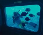SeaScope Submarine Excursion - Image 4