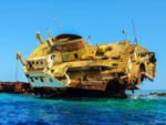 Tiran Island Boat Trip - Image 7