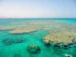 Tiran Island Boat Trip - Image 9