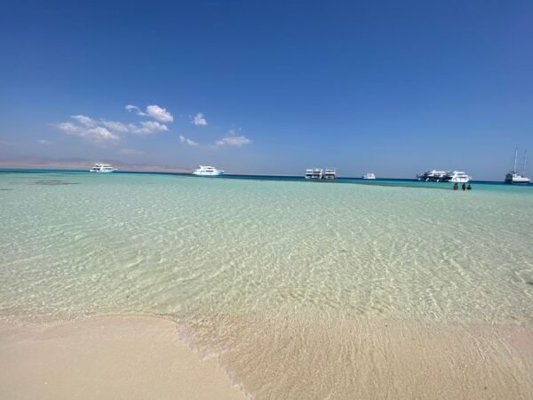 Ras Mohammed + White Island by boat - Image 13