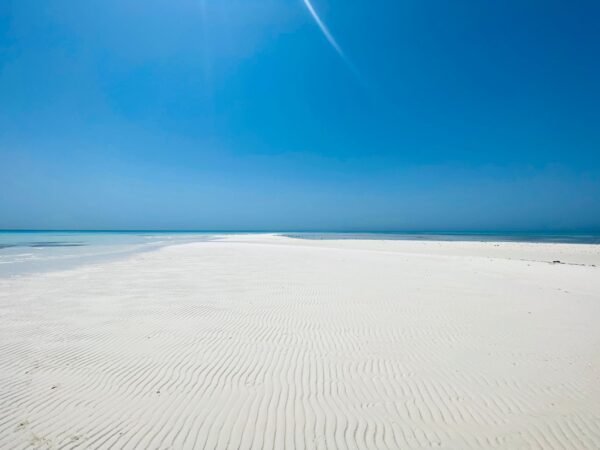 Ras Mohammed + White Island by boat - Image 9