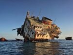 VIP Boat Trip (Tiran Island)