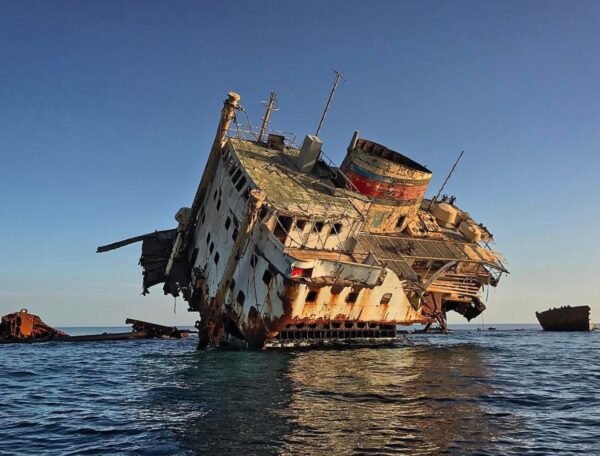 VIP Boat Trip (Tiran Island) - Image 1
