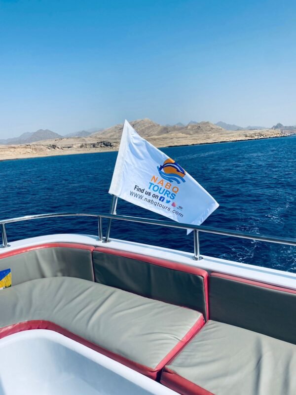 Ras Mohammed + White Island by boat - Image 11