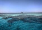 VIP Boat Trip (Tiran Island) - Image 4