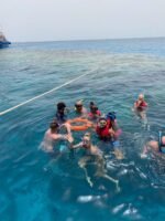 VIP Boat Trip (Tiran Island) - Image 2