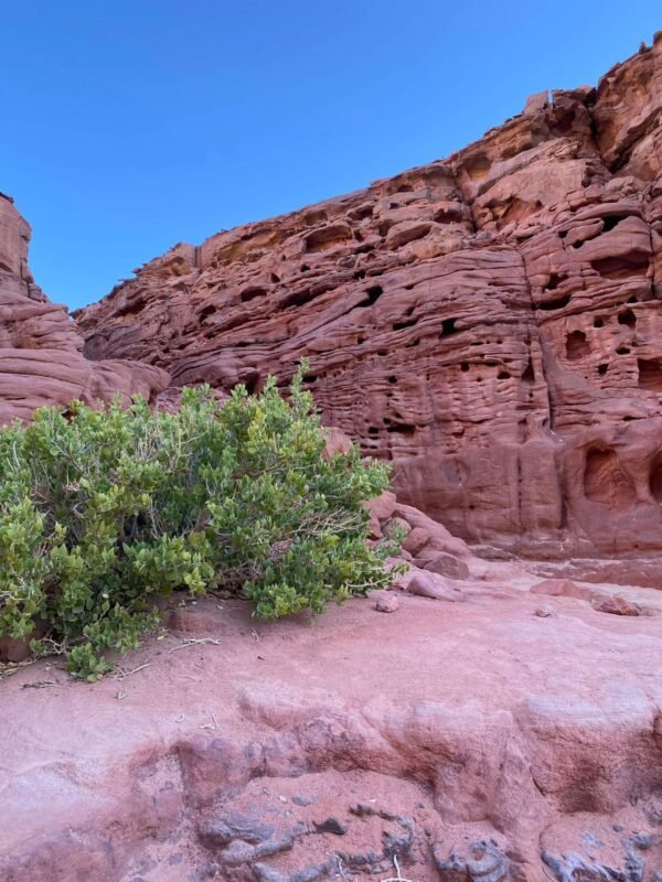 Jeep Safari to the Coloured Canyon + Snorkeling at The Blue Hole. - Image 8