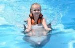 Dolphin show & Swim with dolphin - Image 7