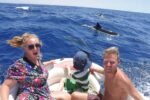 Speed Boat Adventure - Image 4