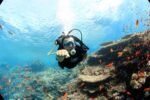 Tiran Island Boat Trip - Image 12