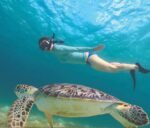 Tiran Island Boat Trip - Image 13