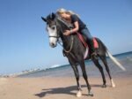 Horse Riding – Beach - Image 3
