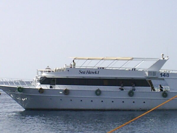 Intro Diving - Image 3