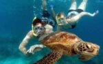 Diving Advanced - Image 8