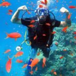 Ras Mohammed + White Island by boat - Image 2