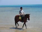 Horse Riding – Beach - Image 4