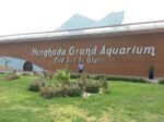 Hurghada Aquarium - Image 3