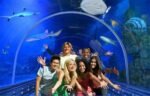 Hurghada Aquarium - Image 4