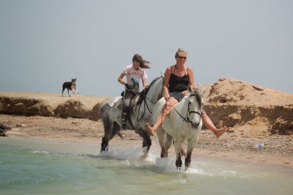 Horse Riding – Beach - Image 5