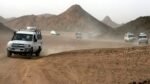 Jeep Safari - Image 4