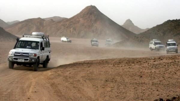 Jeep Safari - Image 4
